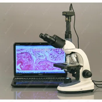 Лабораторный микроскоп-AmScope Поставляет 40X-1000X3 ВТ Светодиодный Трехкулярный Составной Микроскоп T380